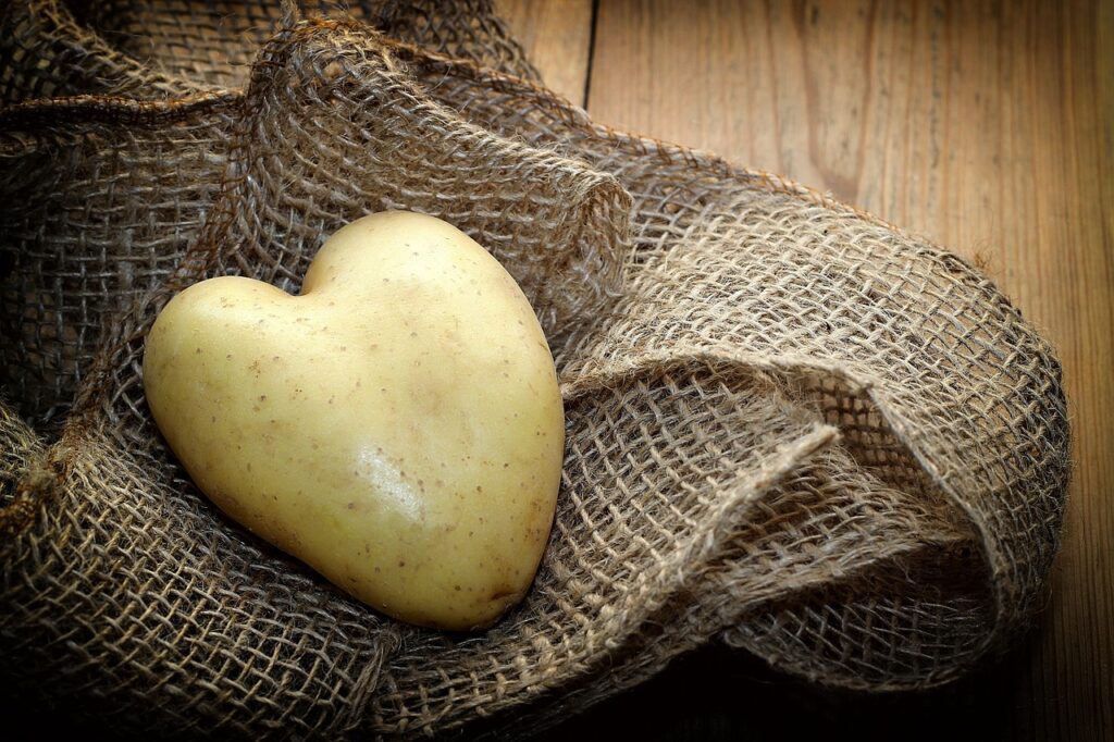 potato, heart, material, wood, vegetables, meal, nourishment, love, food, harvest, bio, nature, symbol, fresh, heart shape, potato heart, heart-shaped, uncooked, potato, potato, potato, potato, potato